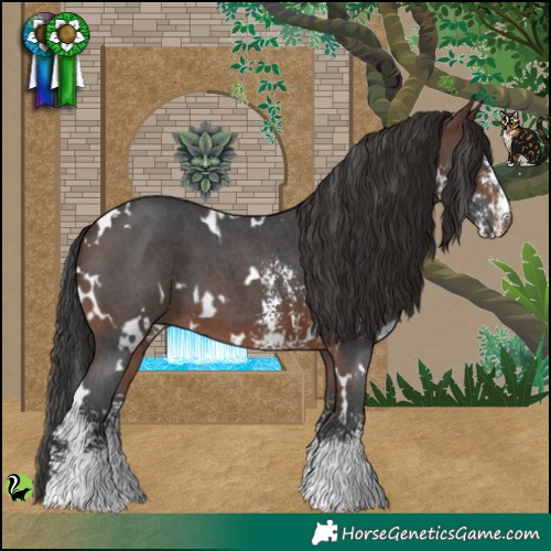 Horse Color:White Spotted Brown Sabino 