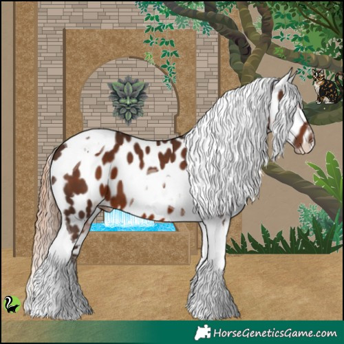 Horse Color:Liver Chestnut Tobiano Appaloosa 