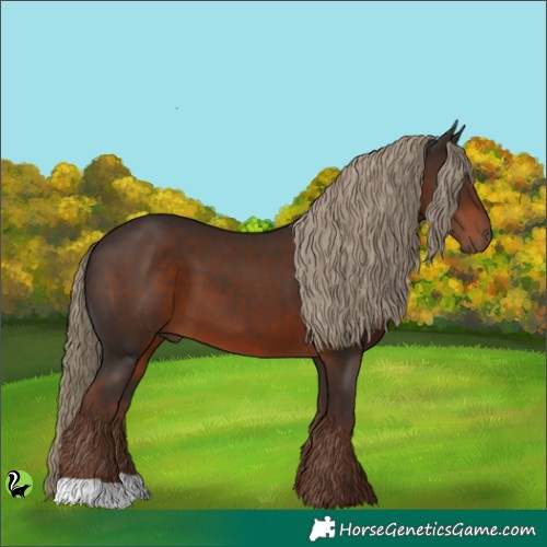Horse Color:Liver Chestnut 