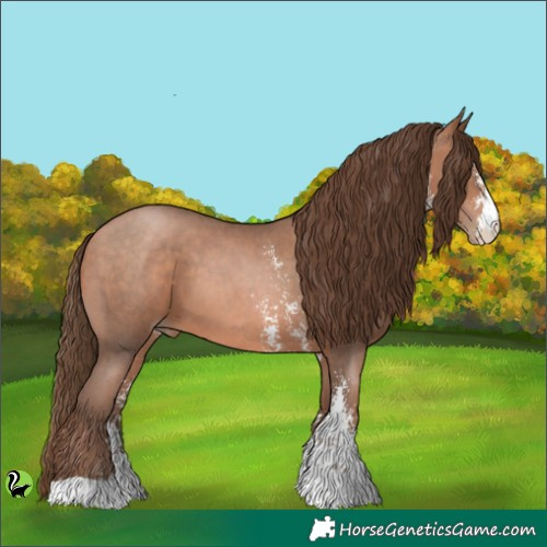 Horse Color:Brown Pearl Sabino 