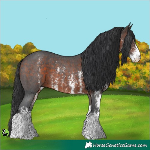 Horse Color:Brown Sabino 