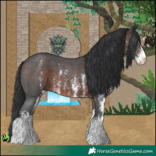 Horse Color:Brown Sabino 