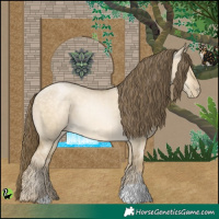 Horse Color:Buckskin Pearl Dun 
