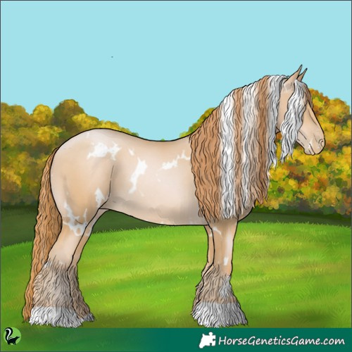 Horse Color:White Spotted Buckskin Pearl 