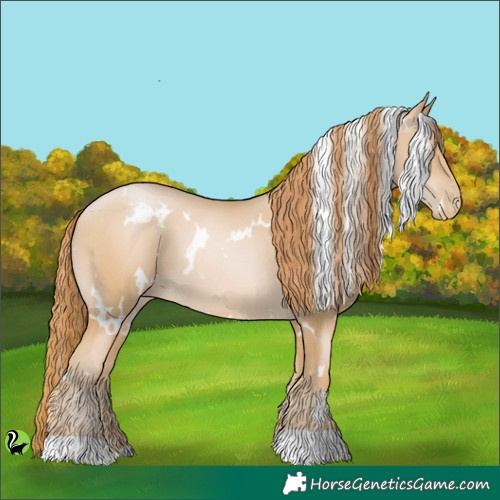 Horse Color:White Spotted Buckskin Pearl 