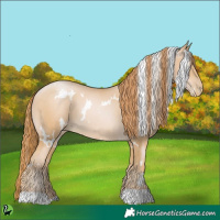 Horse Color:White Spotted Buckskin Pearl 