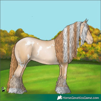 Horse Color:White Spotted Buckskin Pearl 