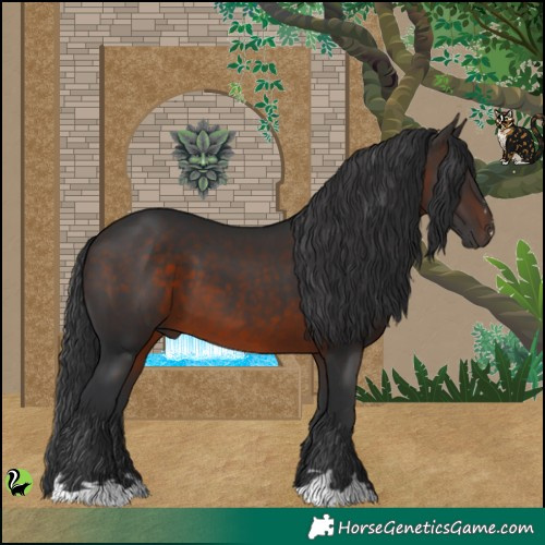 Horse Color:Brown 