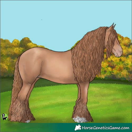Horse Color:Gold Champagne 