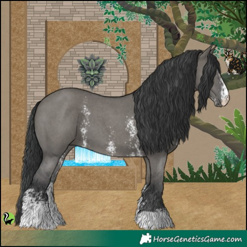 Horse Color:Grullo Sabino 