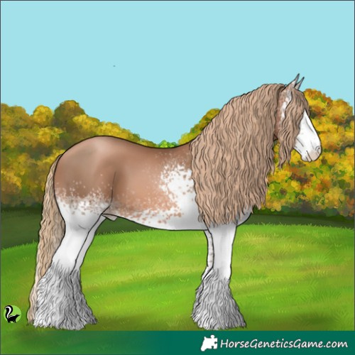 Horse Color:White Spotted Liver Chestnut Pearl 