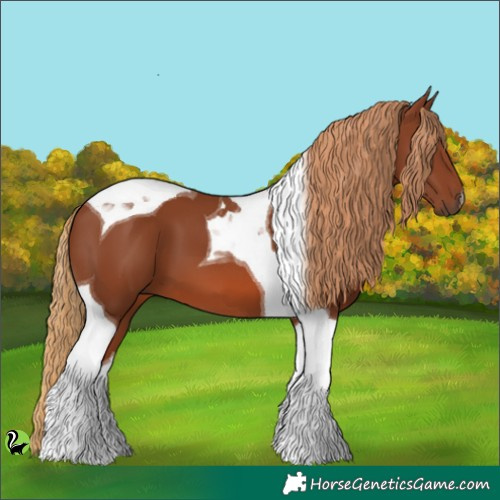 Horse Color:Chestnut Tobiano 