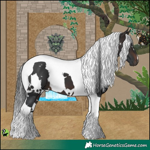 Horse Color:White Spotted Brown Tobiano 