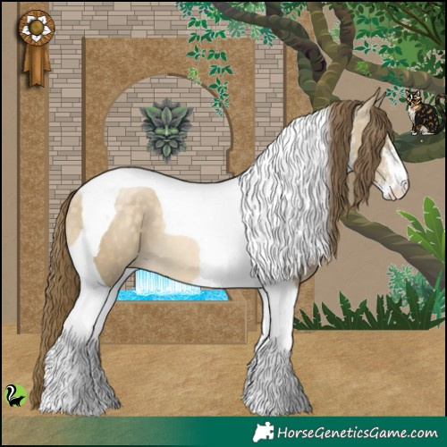 Horse Color:White Spotted Buckskin Pearl Dun Tobiano 