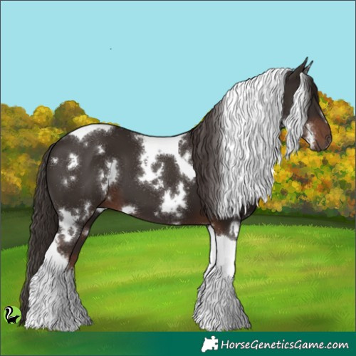 Horse Color:White Spotted Liver Chestnut Tobiano 