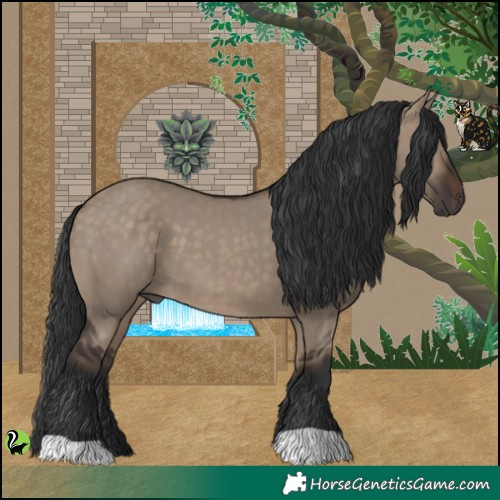 Horse Color:Brown Dun 