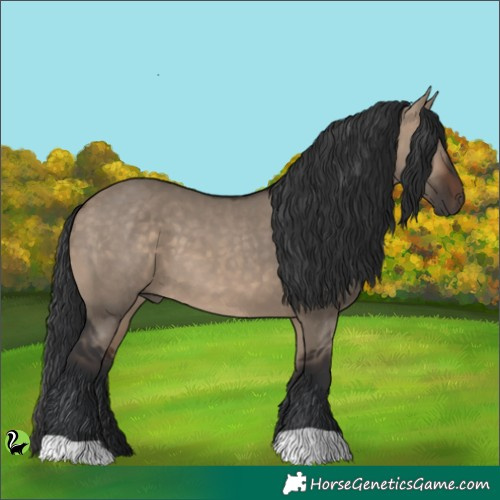 Horse Color:Brown Dun 