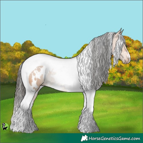 Horse Color:White Spotted Bay Dun Tobiano 