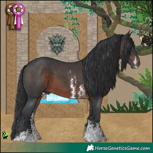 Horse Color:Brown Sabino 