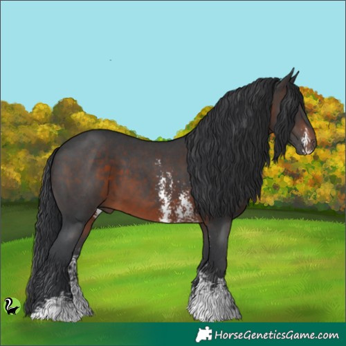 Horse Color:Brown Sabino 