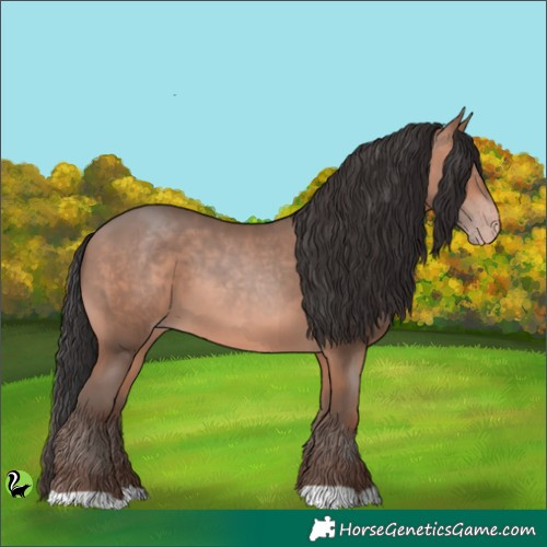 Horse Color:Sable Champagne 