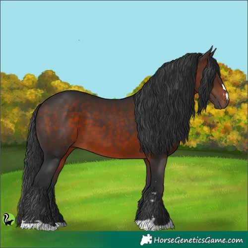 Horse Color:Brown 