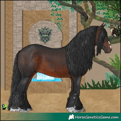 Horse Color:Brown 