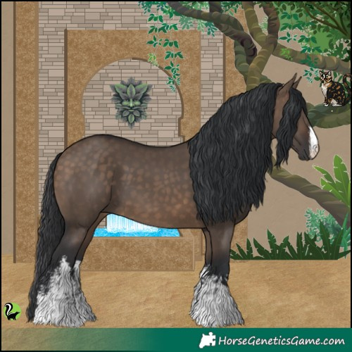 Horse Color:White Spotted Brown Dun 