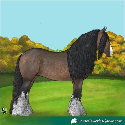 Horse Color:White Spotted Brown Dun 