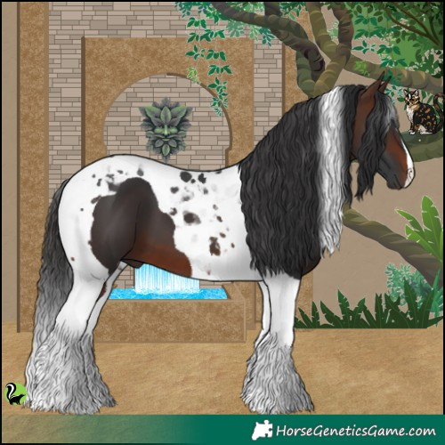 Horse Color:Brown Tobiano 