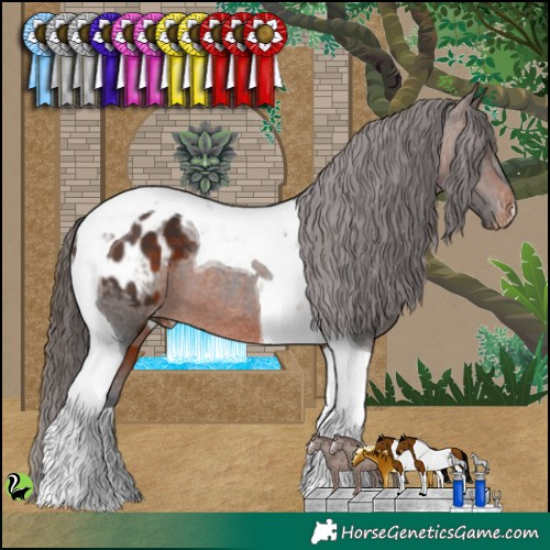 Horse Color:Brown Tobiano Appaloosa 
