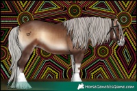 Horse Color:Silver Brown Onyx 