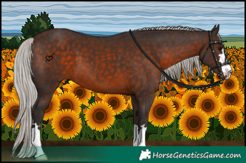 Horse Color:Silver Brown