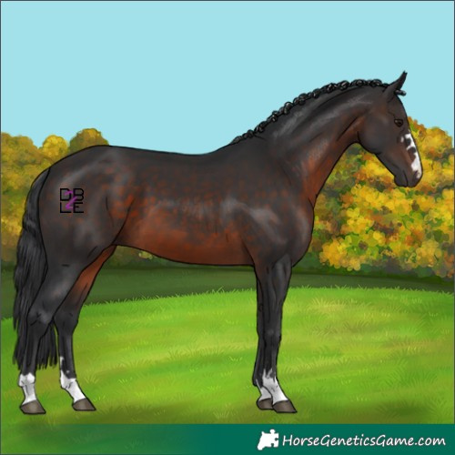 Horse Color:Brown Mushroom