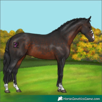 Horse Color:Brown Mushroom 
