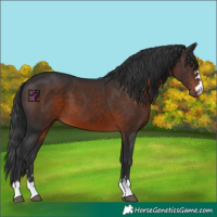 Horse Color:Brown Mushroom 