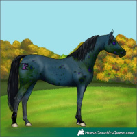 Horse Color:ERROR: UNKNOWN ANOMALY