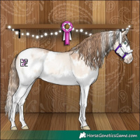 Horse Color:White Spotted Bay Pearl Dun Mushroom Sabino Splash 