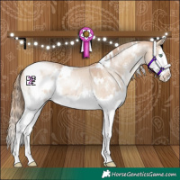 Horse Color:White Spotted Bay Pearl Dun Mushroom Sabino Splash 