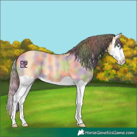 Horse Color:Nacre Amber Cream Champagne Dun Splash 
