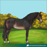 Horse Color:Brown Rabicano 