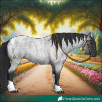 Horse Color:Blue Roan Tobiano 