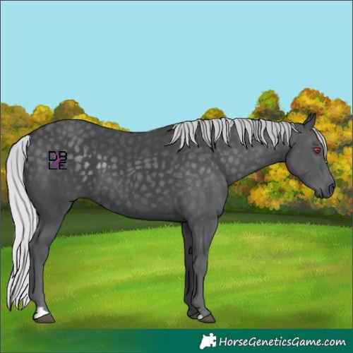 Horse Color:Silver Black Chinchilla 