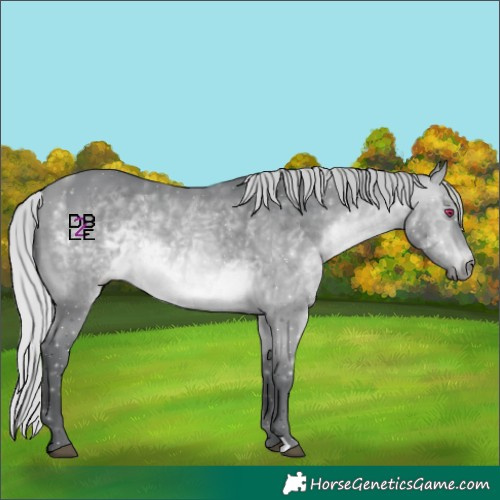 Horse Color:Silver Bay Chinchilla