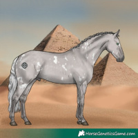 Horse Color:Platinum White Spotted Silver Smoky Grullo Rabicano