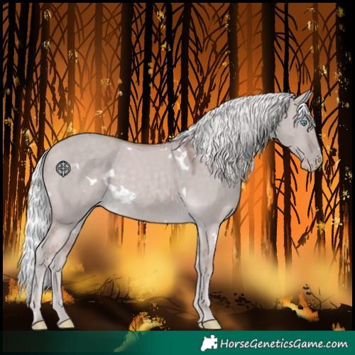 Horse Color:Platinum White Spotted Silver Smoky Creme Dun Rabicano 