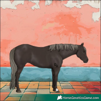 Horse Color:Liver Chestnut Mushroom 
