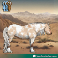 Horse Color:White Spotted Silver Bay Dun 