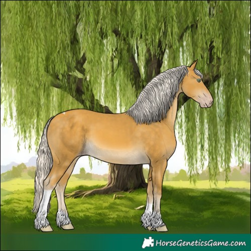 Horse Color:Silver Sable Cream Champagne Tobiano
