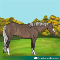 Horse Color:Silver Brown Dun Brindle 